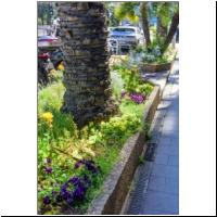 2022-04-29 Unterpflanzung 01.jpg